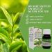 4 Pack Pure & Natural Green Tea Oil Cold Pressed El Hawag Elhawag Natural Concentrated Crude Perfect Fresh for Food No Additives Non GMO Kosher Halal (1 oz / 30 ml)  - Buy Online on GoSupps.com