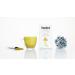 Turmeric Matcha Green Tea - 20 Single Serve Sachets - Twist Teas - Buy Online on GoSupps.com
