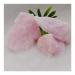 Home Decoration 1pc Quartz Crystal Pink Vein Aragonite Reiki Decoration Specimen Decorative Crystal Stones Minerals Stones ZJGIDTEM (Size : 330-370)
