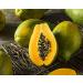 Dried Diced Papaya 5 Pounds - Kosher, Vegan, Sweetened, Unsulfured, Bulk - Perfect for Culinary Use and Baking - Buy Online on GoSupps.com
