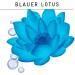 Guhl Long-lasting volume shampoo - 250 ml - Blue Lotus - Gives powerful volume - Fine lifeless hair - Buy Online on GoSupps.com