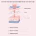 Nano Face Mister Spraying Machine 50ml Capacity Nano Sprayer Portable Handheld Face Moisturizing Spraying Machine(Pink) - Buy Online on GoSupps.com