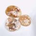 Crystal Rough 1pc raw Natural Rough Uncut Agate Quartz Crystal Gemstone for Astrology - Buy Online on GoSupps.com