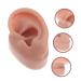 Angoily Human Ear Acupuncture Model - 1pc Silicone Display Ear Simulator for Massage & Learning | 6.5x3.5cm - Buy Online on GoSupps.com