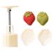 KieTeiiK Mungo Bean Cake Mold Durable Strawberry Shape Cake Molds Plastic Material for Kitchen DIY Baking Mungo Bean Cake Molds - Buy Online on GoSupps.com