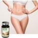 NUTRIEXPERT Nopal Captures fats and sugars Promotes satiety Reduces appetite and caloric intake of meals 100% extracts of natural origin Suitable for vegans Pack of 3 products - Buy Online on GoSupps.com