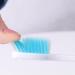 Regerly 8-Piece Foldable Travel Toothbrush Set - Mini Portable Soft Bristle Brushes for Camping & Travel - Buy Online on GoSupps.com
