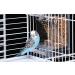 Automatic No Mess Bird Feeder for Parakeet Canary Cockatiel Finch - Bird Cage Accessories - Buy Online on GoSupps.com