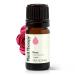 Plant Therapy Rose Absolute Essential Oil 5 mL (1/6 oz) 100% Pure Undiluted Calming & Emotionally Grounding Great Essential Oil for Skincare 0.16 Fl Oz (Pack of 1)