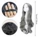 Euppsiiu Long Wavy Silver Gray Wig for Women | 27 Heat-Resistant Curly Cosplay Hair | Perfect for Daily Wear & Carnivals - Buy Online on GoSupps.com