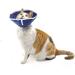 QIYADIN Soft Cat Recovery Collar | Nonwoven Fabric Elizabeth Cone | Protective Wound Healing | Designed for Cats | Easy Eating & Drinking | Small - Buy Online on GoSupps.com