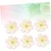 ABOOFAN 50pcs Ornaments White Plum Pink Simulation Supplies Handmade Crafts Flower Adornments DIY Blossoms As Shown Size 1 - Buy Online on GoSupps.com
