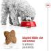 Royal Canin Mini Adult Dog Food 2kg Poultry 2 kg (Pack of 1) - Buy Online on GoSupps.com