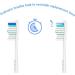 6 Pack Replacement Toothbrush Heads for Philips Sonicare Electric Toothbrush - Compatible with E Series Essence Xtreme Elite Advance and CleanCare Handles - Buy Online on GoSupps.com