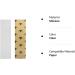 Black Diamond Longboard Skateboard Grip Tape Sheet 10" x 48" Clear - Buy Online on GoSupps.com