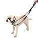 YankMooM 6.9FT Double Ended Dog Training Lead Leash - Multi-Function Rope for Walking, Running, and Training | Black - Buy Online on GoSupps.com