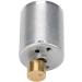 Buy Ginorgee Motor RF370 DC Mini Vibration Motor - Strong 12V Vibration for Massagers | International Shipping Available - Buy Online on GoSupps.com