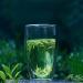 100g th blanc naturel Anji Bon th vert bio printemps chinois en vrac - Buy Online on GoSupps.com