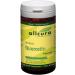 Buy Quercetin Capsules 250 mg - 90 Count | Immune Support & Antioxidant | International Shipping - Buy Online on GoSupps.com