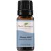 Plant Therapy Sleep Essential Oil Blend 10 mL (1/3 oz) 100% Pure Undiluted Natural Aromatherapy Therapeutic Grade
