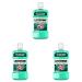 Listerine Clean & Fresh (500 ml) antibacterial mouthwash with essential oils mouthwash without alcohol perfect addition to daily dental care with and without braces (pack with 3)