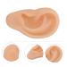 Scicalife Silicone Left Ear Model - Ear Cleaning & Earwax Remover - Authentic Modeling Ear - Buy Online on GoSupps.com