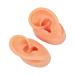 Ear Display Model Silicone Simulated Soft Ear Model Waterproof Long Lasting for Store