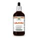 Arjuna (Terminalia Arjuna) Dry Bark Glycerite Made in Hawaii Organic Raw Materials All Natural Vegan Lab Tested Alcohol-Free Liquid Extract - 4 fl.oz 4 Fl Oz (Pack of 1)