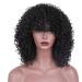 Curly Hair Wigs for Black Women - Natural Kinky Afro Wigs Lace Front & Synthetic Options - Buy Online on GoSupps.com