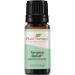 Plant Therapy Tension Relief Essential Oil Blend 10 mL (1/3 oz) 100% Pure, Undiluted, Therapeutic Grade Tension Relief 0.34 Fl Oz (Pack of 1)