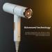 Professional Hair Dryer Infrared Negative Ionic Blow Dryer Hot&Cold Wind Salon Hair Styler Tool Hair Electric Blow Drier Blower (Type 2 White) - Buy Online on GoSupps.com
