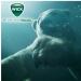 Buy WICK Sage Cough Drops with Cooling Menthol - Sugar-Free 72g Pack for International Shipping - Buy Online on GoSupps.com