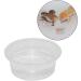 Yililay Gecko Food And Water Containers Reptile Feeder Bowls Gecko Transparent Feeder Bowls Reptile Feeding Plastic Dish Gecko Food Water Containers 100Pcs - Buy Online on GoSupps.com