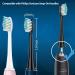 8Pcs Black Toothbrush Replacement Heads for Philips Sonicare Electric Toothbrushes - Buy Online on GoSupps.com