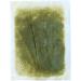 Foot Relax Sheet - Red Pepper by Ashirira for Women - 30 Pc Patches - Buy Online on GoSupps.com