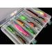 Milepetus 14/10 Compartments Double-Sided Fishing Tackle Box - Clear Hard Plastic Lure Bait Storage Case - 14 Slots - Buy Online on GoSupps.com