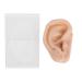 Piercing Practice Model: Soft Silicone Ear Simulation for Acupuncture Practice in Hospital Display - Buy Online on GoSupps.com