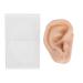 Simulation Artificial Ear Model Soft Silicone Ear Model Ear Acupuncture Practice Model for Hospital Display