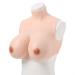 Knobco High Collar Half Langth Realistic Silicone Breast Forms Boobs Enhancers Suitable For Mastectomy Halloween Christmas Weddings Cosplay (Color: White Skin Size: G 1525g) G 1525g White Skin