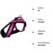 Premium Fuchsia XL Tour Tableware - Elegant Dining Set for International Shipping - Buy Online on GoSupps.com