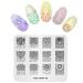 Alexnailart Nail Art Stamping Plate Flower Template Image Plate Nail Art Tools (FL008)
