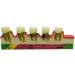 Dytah Dental Model - Adult Teeth Lessons for Periodontitis & Dental Disease Classification | Ideal for Teaching & Study - Buy Online on GoSupps.com