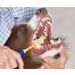 Arm & Hammer Puppy Dental Kits Coconut Fresh - Includes Toothpaste Toothbrush and Finger Brush. Reduces Plaque and Tartar for Healthy Gums - Buy Online on GoSupps.com