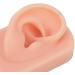 Flexible Reusable Human Ear Model - Soft & Easy to Use for Headphones Display and Acupuncture Training (Light Complexion) - Buy Online on GoSupps.com