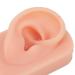 Flexible Silicone Right Ear Model for Earrings Piercing Training (Light Skin Color) - Buy Online on GoSupps.com