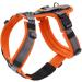 Buy Safety Harness Maldon Orange/Grey - Size MM | Durable and Comfortable International Shipping - Buy Online on GoSupps.com
