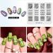 Alexnailart Flower Lace Nail Stamping Plate - Multi-Pattern Image Print Stamper Tool FL010 - Buy Online on GoSupps.com