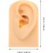 Beaupretty Human Ear Model Durable Silicone for Ear Piercing Training for Education and Practice Complexion 1 - Buy Online on GoSupps.com
