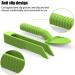 MIOYOOW 3PCS Reptile Feeding Clamp Set | Tweezers for Turtles Frogs Spiders & Lizards | Durable Reptilia Feeding Tools - Buy Online on GoSupps.com