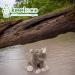 Shop Deluxe Paws 100% Recycled Plush Eco Toy Rhino | Sustainable Pet Products | International Shipping - Buy Online on GoSupps.com